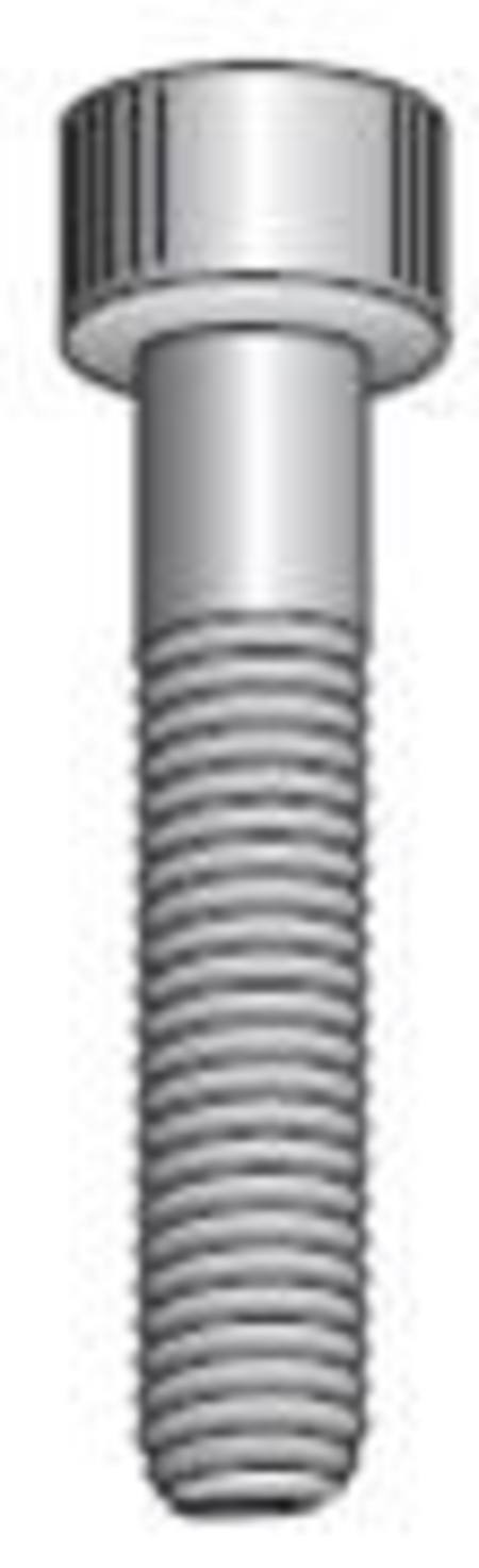 3/16"x 3/4"CAP SCREW T304 STAINLESS STEEL FT